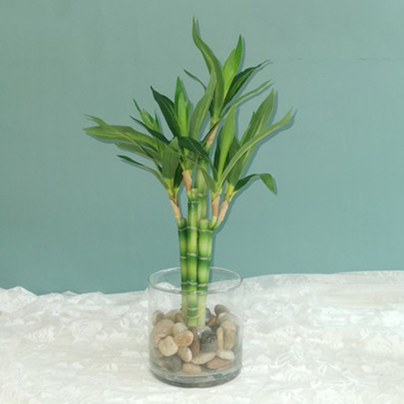 Desk Setup Plant - Nowa 40cm sztuczna roślina Lucky Bamboo,
