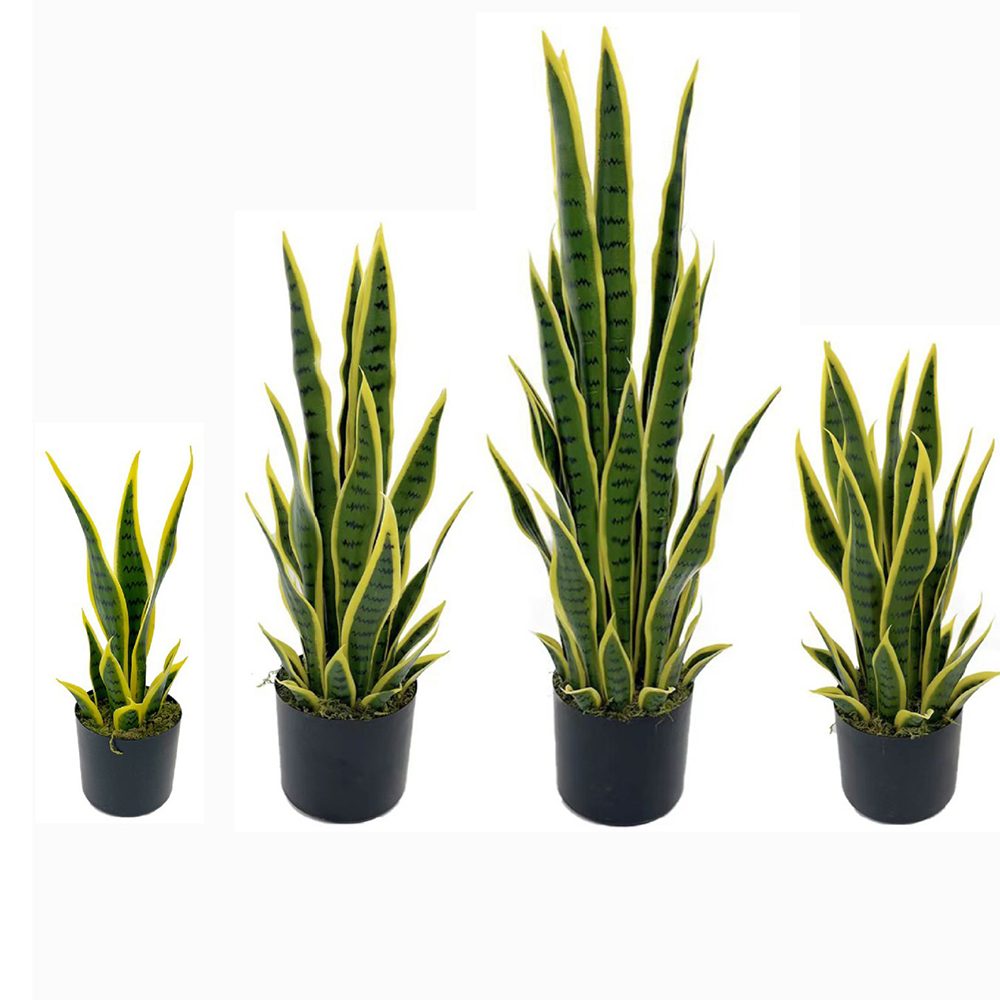 Desk Setup Plant - Sztuczna Sansewieria (Wężowa) w czarnym doniczku,