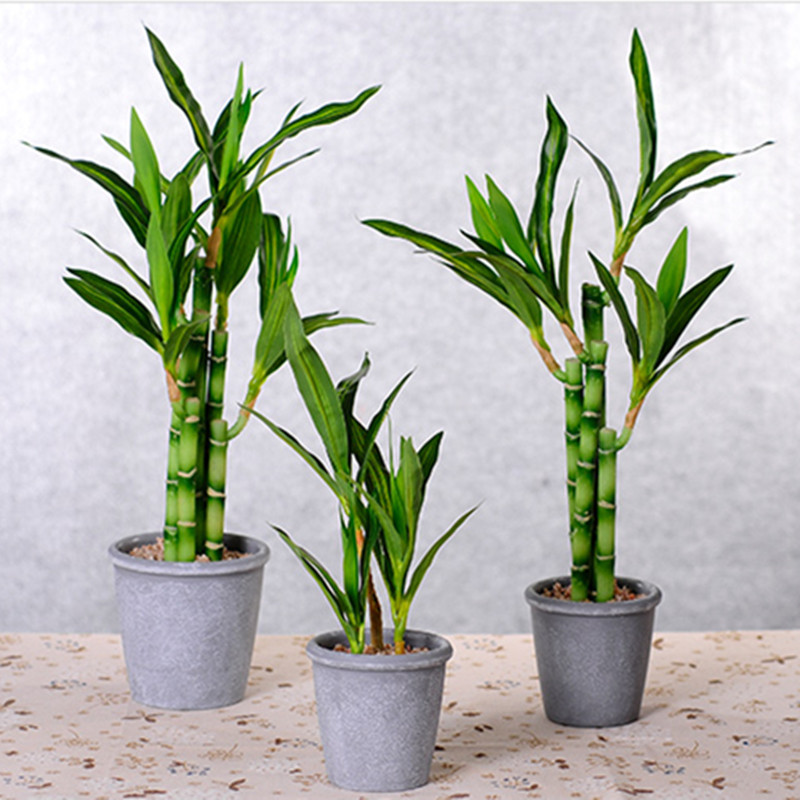 Nowa 40cm sztuczna roślina Luc – Desk Setup Plant recenzja i cena