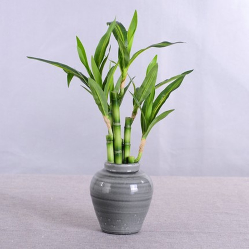 Nowa 40cm sztuczna roślina Luc – Desk Setup Plant recenzja i cena