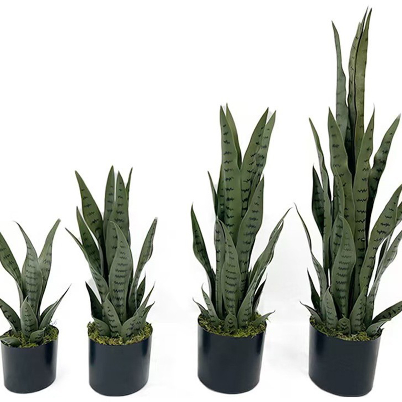 Sztuczna Sansewieria (Wężowa)  – Desk Setup Plant recenzja i cena
