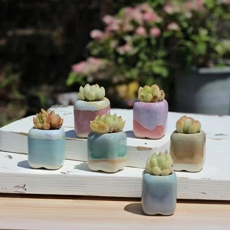 6 szt. Mini Doniczek Sukulenty – Desk Setup Plant recenzja i cena